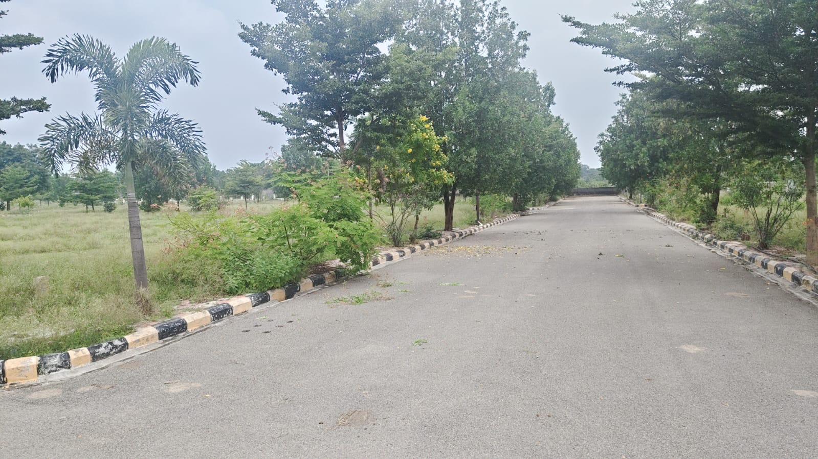Akshitha Golden Ridge HMDA Layout Plot no : 171  305 square yards  South west Corner plot  59.10 feet road face , 46 feet Road Face  60" Feet Road " 40" Feet Road contact no 8466949629