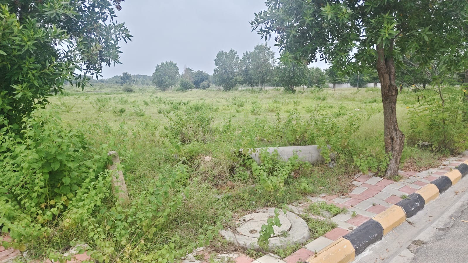 Akshitha Golden Ridge HMDA Layout Plot no : 171  305 square yards  South west Corner plot  59.10 feet road face , 46 feet Road Face  60" Feet Road " 40" Feet Road contact no 8466949629